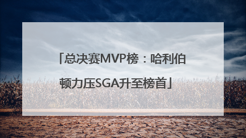 总决赛MVP榜：哈利伯顿力压SGA升至榜首