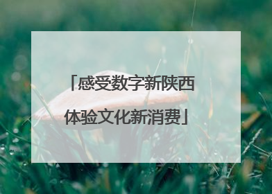 感受数字新陕西 体验文化新消费