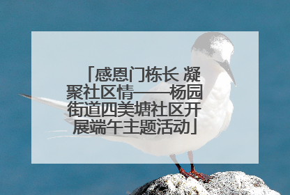 感恩门栋长 凝聚社区情——杨园街道四美塘社区开展端午主题活动
