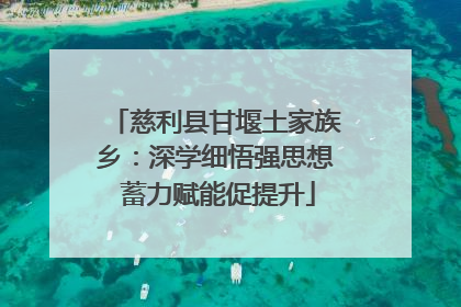 慈利县甘堰土家族乡：深学细悟强思想 蓄力赋能促提升