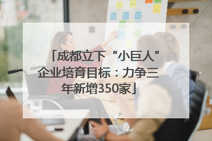 成都立下“小巨人”企业培育目标：力争三年新增350家