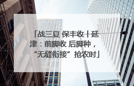 战三夏 保丰收丨延津：前脚收 后脚种，“无缝衔接”抢农时
