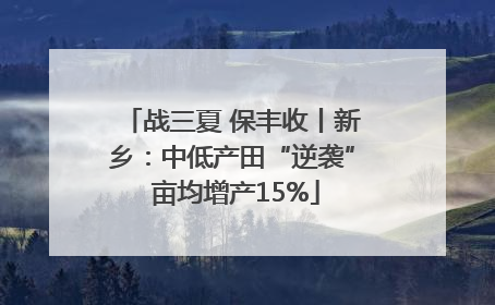 战三夏 保丰收丨新乡：中低产田“逆袭” 亩均增产15%