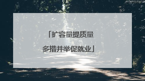 扩容量提质量 多措并举促就业