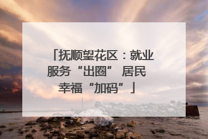 抚顺望花区：就业服务“出圈” 居民幸福“加码”