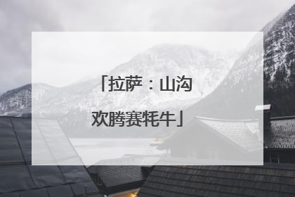 拉萨：山沟欢腾赛牦牛