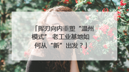 挥刃向内重塑“温州模式” 老工业基地如何从“新”出发？