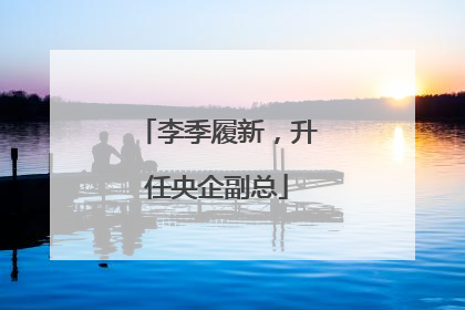 李季履新，升任央企副总