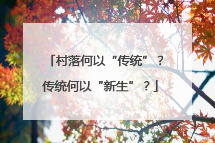 村落何以“传统”？传统何以“新生”？