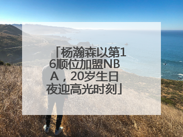 杨瀚森以第16顺位加盟NBA，20岁生日夜迎高光时刻