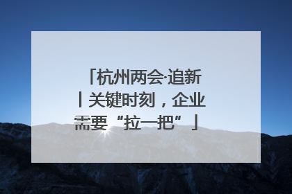 杭州两会·追新丨关键时刻，企业需要“拉一把”
