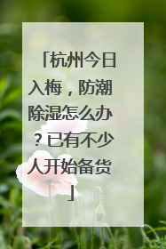 杭州今日入梅，防潮除湿怎么办？已有不少人开始备货