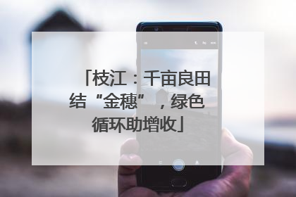 枝江：千亩良田结“金穗”，绿色循环助增收