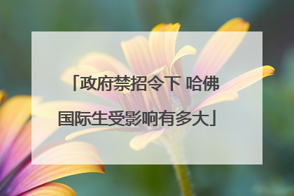 政府禁招令下 哈佛国际生受影响有多大