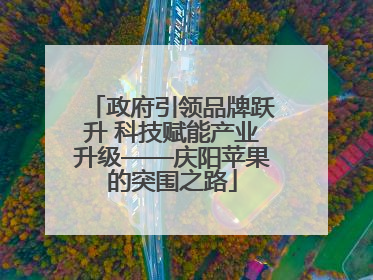 政府引领品牌跃升 科技赋能产业升级——庆阳苹果的突围之路