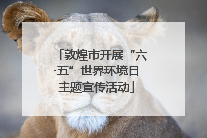 敦煌市开展“六·五”世界环境日主题宣传活动
