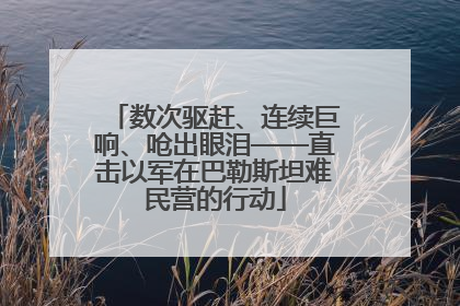 数次驱赶、连续巨响、呛出眼泪——直击以军在巴勒斯坦难民营的行动