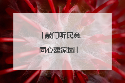 敲门听民意 同心建家园