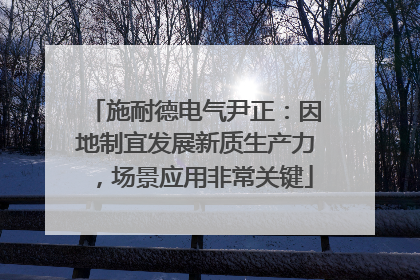 施耐德电气尹正：因地制宜发展新质生产力，场景应用非常关键