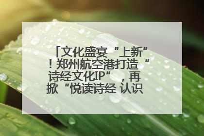 文化盛宴“上新”！郑州航空港打造“诗经文化IP”，再掀“悦读诗经 认识家乡路”活动热潮