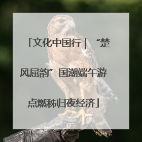 文化中国行｜“楚风屈韵”国潮端午游点燃秭归夜经济