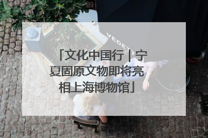 文化中国行｜宁夏固原文物即将亮相上海博物馆