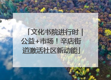 文化书院进行时｜公益+市场！辛店街道激活社区新动能