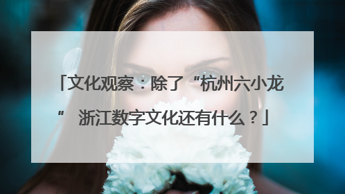文化观察：除了“杭州六小龙” 浙江数字文化还有什么？