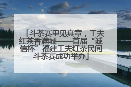 斗茶赛里见真章，工夫红茶香满城——首届“诚信杯”福建工夫红茶民间斗茶赛成功举办
