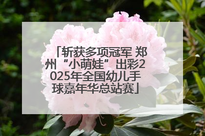 斩获多项冠军 郑州“小萌娃”出彩2025年全国幼儿手球嘉年华总站赛