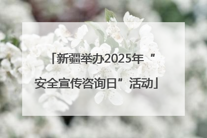 新疆举办2025年“安全宣传咨询日”活动