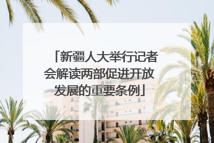 新疆人大举行记者会解读两部促进开放发展的重要条例