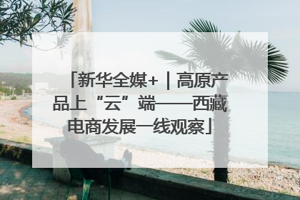 新华全媒+｜高原产品上“云”端——西藏电商发展一线观察