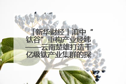 新华财经丨滇中“钛谷”重构产业经纬——云南楚雄打造千亿级钛产业集群的探索与实践
