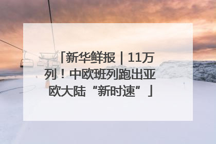 新华鲜报｜11万列！中欧班列跑出亚欧大陆“新时速”