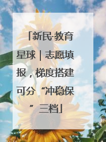 新民·教育星球｜志愿填报，梯度搭建可分“冲稳保”三档