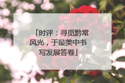时评：寻觅黔常风光，于最美中书写发展答卷