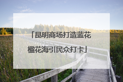 昆明商场打造蓝花楹花海引民众打卡