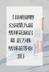 昆明郊野公园第九届绣球花展启幕 近万株绣球花等你赏