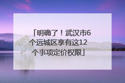 明确了！武汉市6个远城区享有这12个事项定价权限