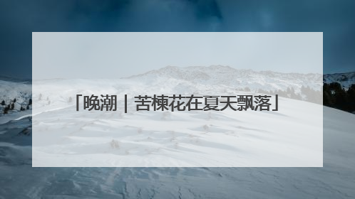 晚潮｜苦楝花在夏天飘落