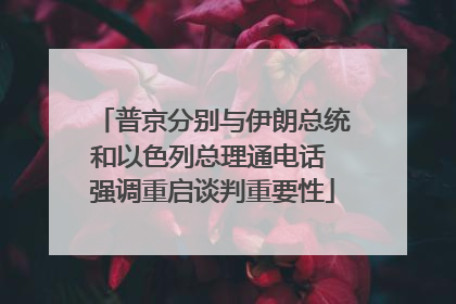普京分别与伊朗总统和以色列总理通电话 强调重启谈判重要性