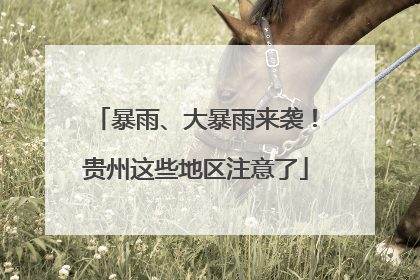 暴雨、大暴雨来袭！贵州这些地区注意了
