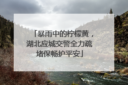 暴雨中的柠檬黄，湖北应城交警全力疏堵保畅护平安