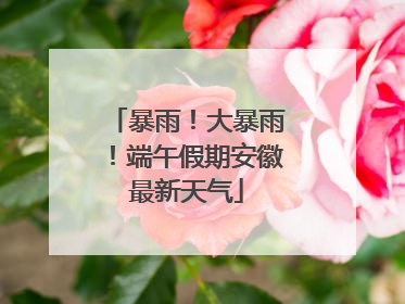 暴雨！大暴雨！端午假期安徽最新天气