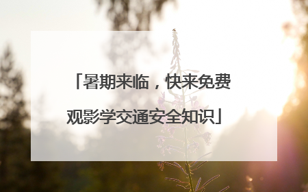 暑期来临，快来免费观影学交通安全知识