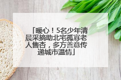 暖心！5名少年清晨采摘助北宅孤寡老人售杏，多方善意传递城市温情