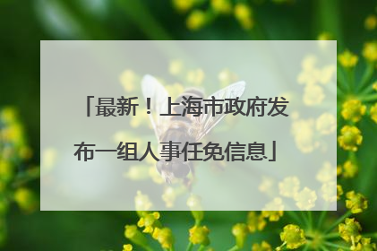 最新！上海市政府发布一组人事任免信息