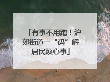 有事不用跑！沪郊街道一“码”解居民烦心事