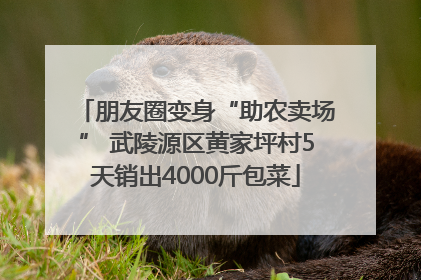 朋友圈变身“助农卖场” 武陵源区黄家坪村5天销出4000斤包菜